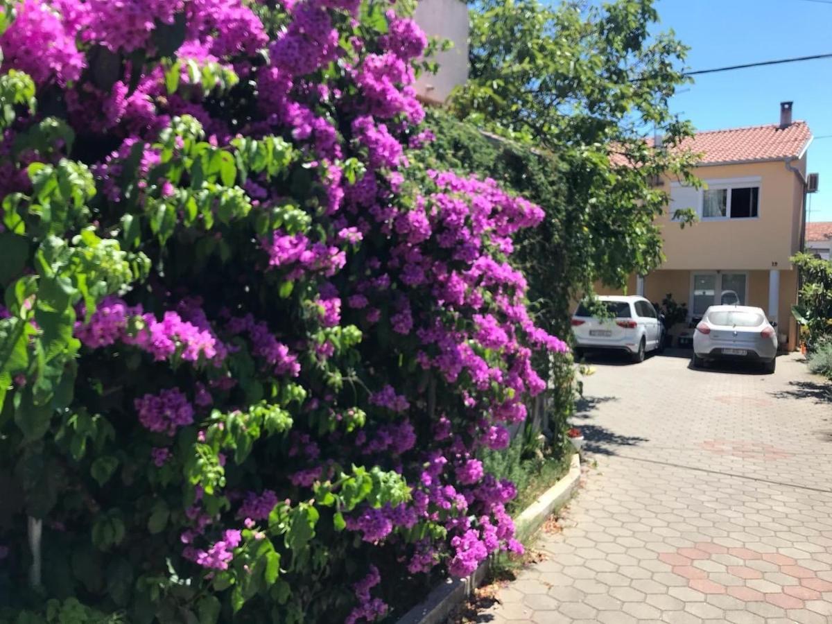 Lipo Je Leilighet Zadar Eksteriør bilde